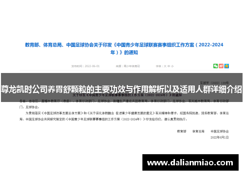 尊龙凯时公司养胃舒颗粒的主要功效与作用解析以及适用人群详细介绍