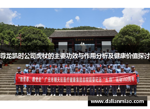 尊龙凯时公司虎杖的主要功效与作用分析及健康价值探讨