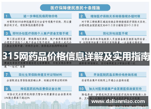 315网药品价格信息详解及实用指南