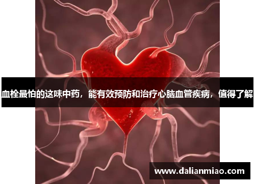 血栓最怕的这味中药，能有效预防和治疗心脑血管疾病，值得了解